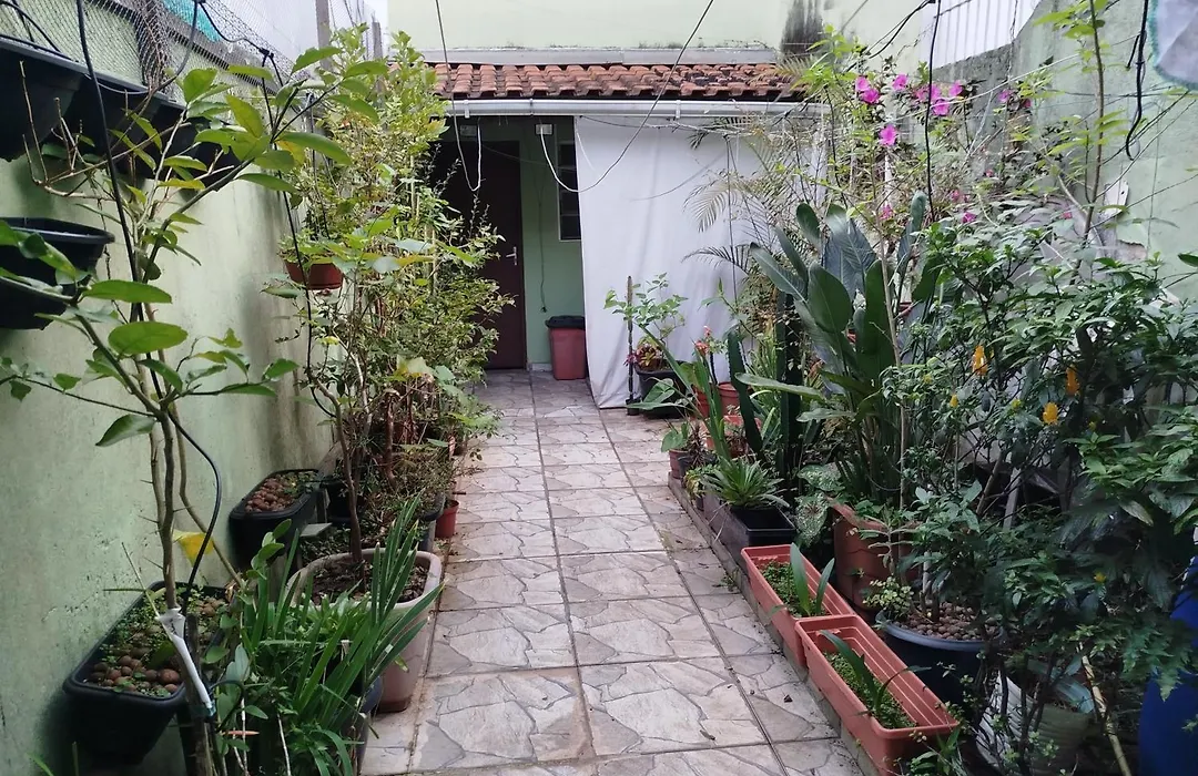 Home Interlagos-1