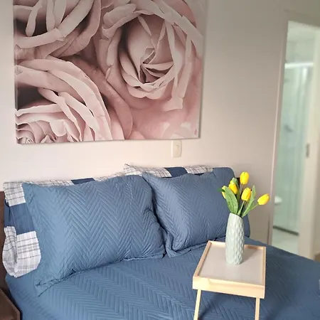 Tulipa-2