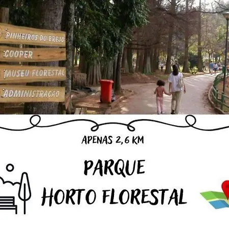 Apto Mobiliado Horto Florestal Sp 1 Dormitorio -30-2
