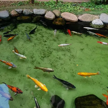 Apto Brás com piscina próximo ao centro de compras-3