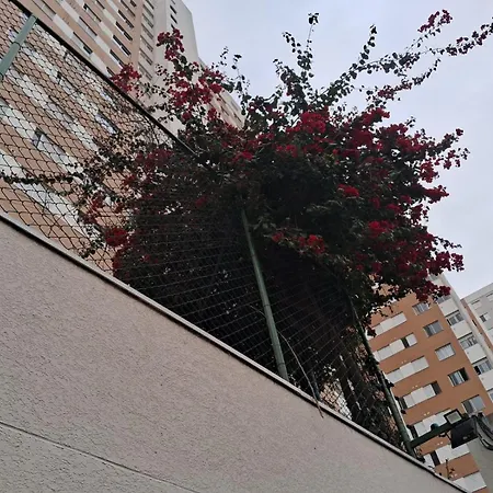 Conforto em São Paulo-2