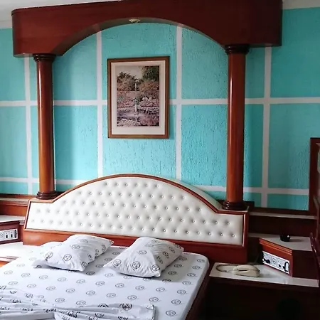 North Palace Hotel-2