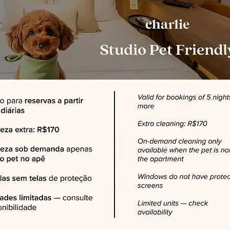 House of Charlie Paraíso-2