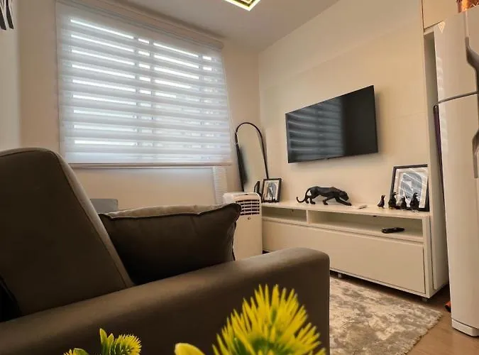 Apartamento Mobiliado Região do Brás Coronel Mursa
