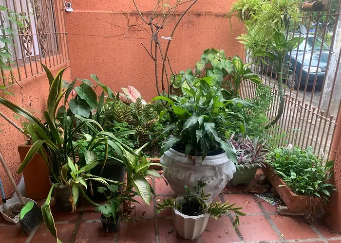 Edícula tranquila e bem localizada no Butantã Vila São Paulo