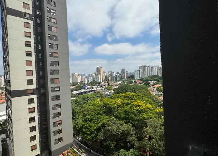 Studio Novo E Completo