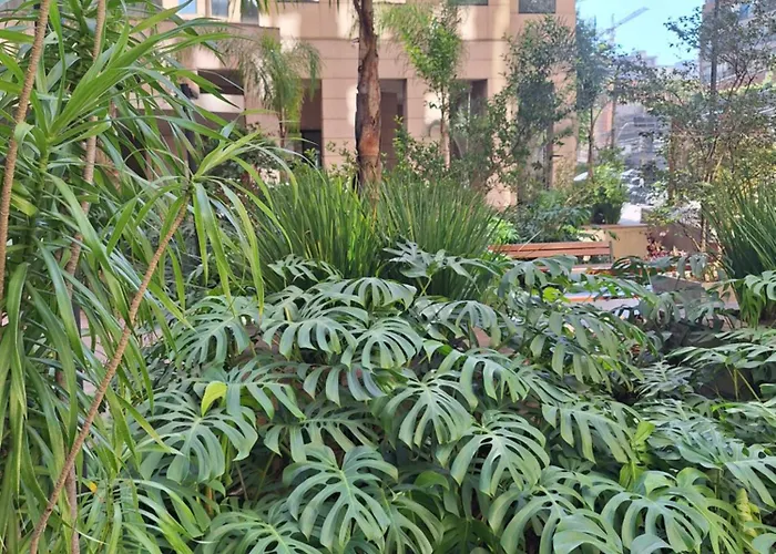 Flat Moema Ibirapuera 1 Apartamento São Paulo