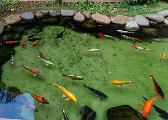 Apto Brás com piscina próximo ao centro de compras