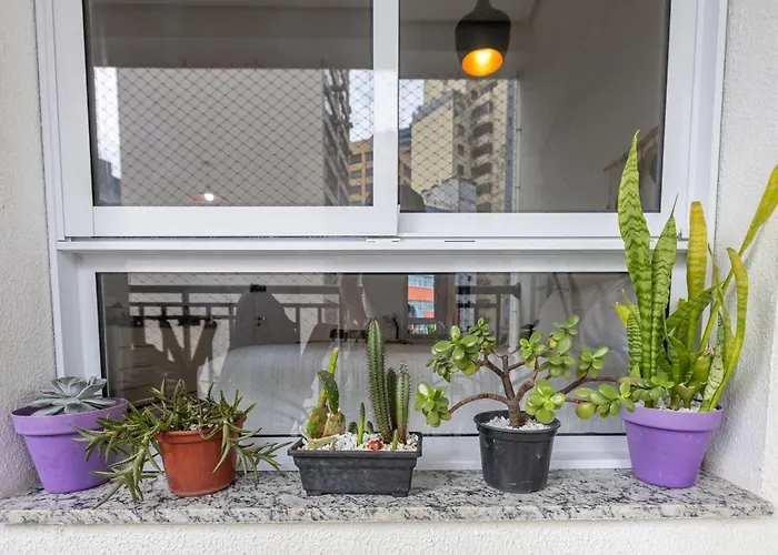 Apartamento em São Paulo-Bela Vista-Studio Novo