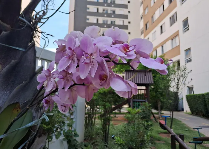 Conforto em São Paulo