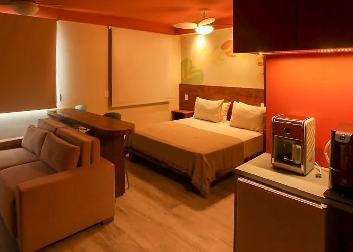 Savana Studio