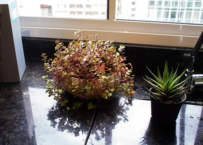 Apartamento no centro de São Paulo