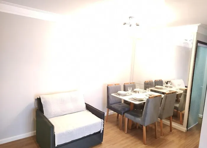 Apartamento Expo Center Norte A 900 Metros Com Ar São Paulo